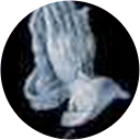 Profilbild von „[elekt]Roland“